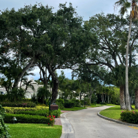 A residential street in Orchid featuring lush landscaping and matching copper mailboxes along the road.