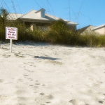 A small sign is posted in the sand at the top of a dune that reads "Keep off the dune".