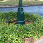 The base of a streetlight depicting a designation sticker with the number 5
