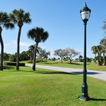 Streetlight in the grass at the edge of a crossing with a golf course in the background dotted with palm trees.