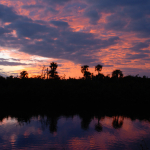 A colorful evening sky is reflected in the Indian River Lagoon's conservation area.