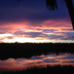 A colorful evening sky is reflected in the Indian River Lagoon as a leaning palm tree partially blocks the view.