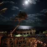 A nighttime view of the Atlantic Ocean from the Orchid Island Beach Club overlooking the beach walkover and leaning palm tree