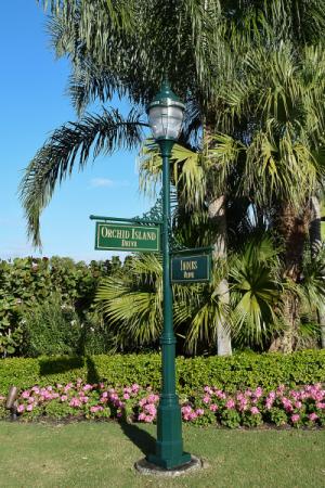 An ornate streetlight with two street name signs appended from it stands in front of lush tropical flora
