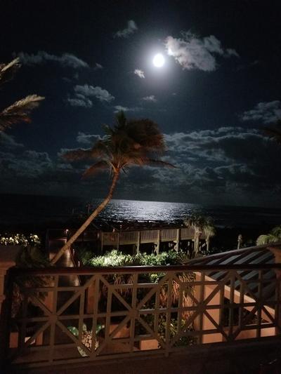 A nighttime view of the Atlantic Ocean from the Orchid Island Beach Club overlooking the beach walkover and leaning palm tree