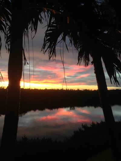 Two palm trees frame a view of the Indian River Lagoon as the sun sets in the distance behind the mangroves.
