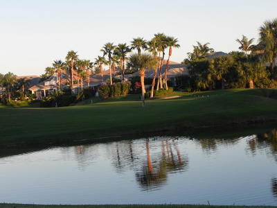 A view across a calm lake at the golf course and residences that flank it. 