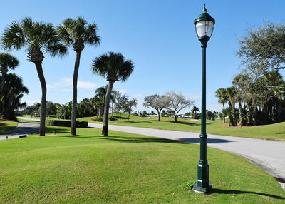 Streetlight in the grass at the edge of a crossing with a golf course in the background dotted with palm trees.
