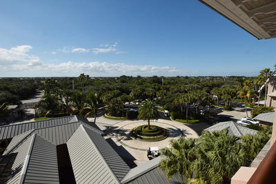 Orchid's canopy of green from a balcony vantage point; the roof of the Orchid Island Beach Club is also depicted