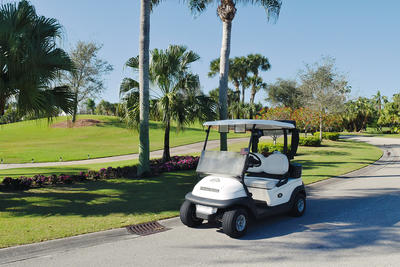 A golf cart adorned with a small American flag is parked by the side of the road
