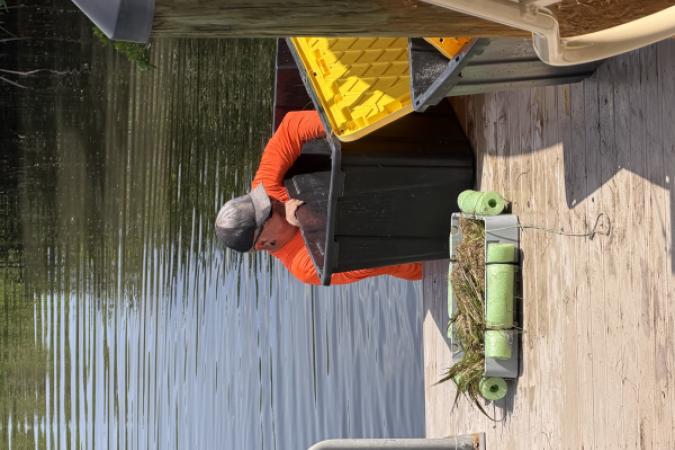Basket of seagrasses being filled from a large tote.