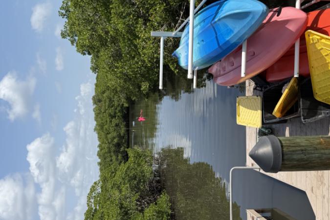 View of people planting seagrasses with the kayak storage in the foreground.