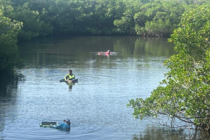 People in chest-deep water with baskets of seagrasses. 